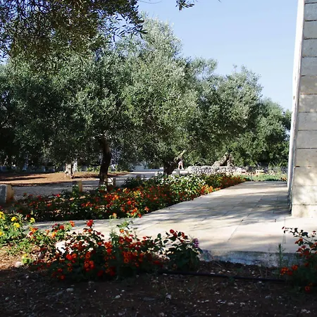 Tenuta Pigliano 3*